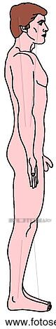 Male figure, adult View Large Illustration Clipart - Male figure, adult. Fotosearch