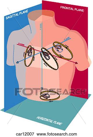 Stock Illustration - Schematic illustration showing thorax and planes. Fotosearch