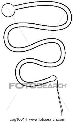 Intrauterine Devices, Lippes loop View Large Illustration Stock Illustration - Intrauterine Devices, Lippes loop. Fotosearch
