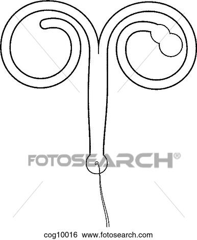 Stock Illustration - Intrauterine Devices, Saf-T-Coil. Fotosearch