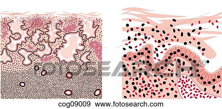 Menstrual cycle, regulation View Large Illustration Stock Illustration - Menstrual cycle, regulation. Fotosearch