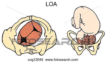 Presentation, vertex, LOA position View Large Illustration Stock Illustration - Presentation, vertex, LOA position. Fotosearch
