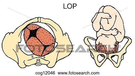 Presentation, vertex, LOP position View Large Illustration Stock Illustration - Presentation, vertex, LOP position. Fotosearch
