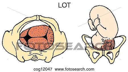 Presentation, vertex, LOT position View Large Illustration Stock Illustration - Presentation, vertex, LOT position. Fotosearch