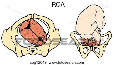 Presentation, vertex, ROA position View Large Illustration Stock Illustration - Presentation, vertex, ROA position. Fotosearch