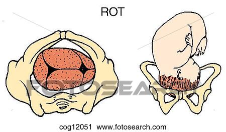 Presentation, vertex, ROT position View Large Illustration Clip Art - Presentation, vertex, ROT position. Fotosearch