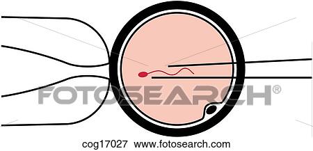 Stock Illustration - Reproduction, assisted. Fotosearch