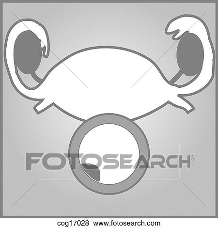 Stock Illustration - Reproductive tract (female) and embryology. Fotosearch