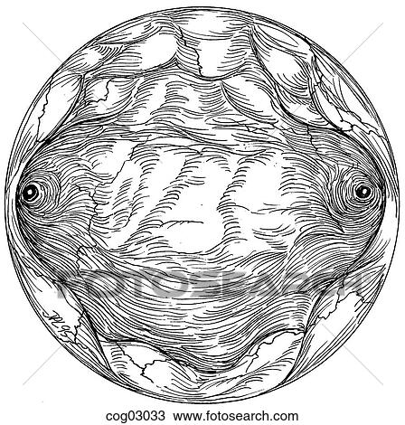 Drawing - Uterine fundus. Fotosearch