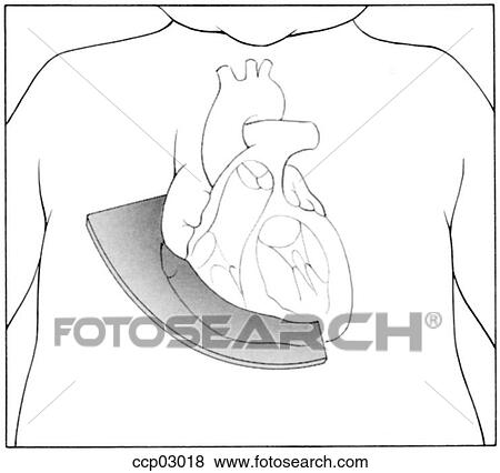 Plane, transverse View Large Illustration Stock Illustration - Plane, transverse. Fotosearch