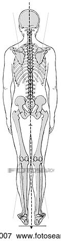 Stock Illustration - Alignment, ideal. Fotosearch