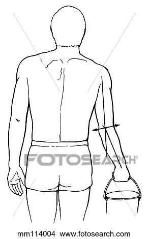 Stock Illustration - Elbow, carrying angle. Fotosearch