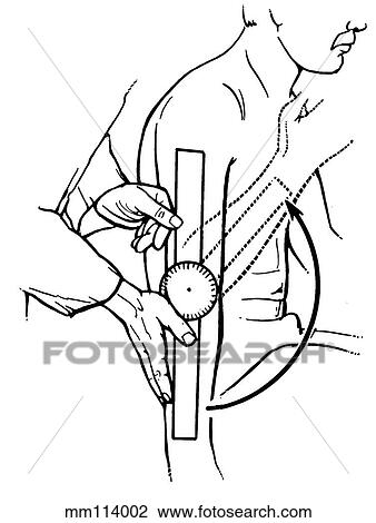 Elbow flexion View Large Illustration Drawing - Elbow flexion. Fotosearch