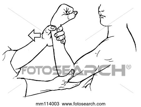 Drawing - Elbow flexion. Fotosearch