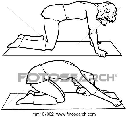 Exercise, neck, sphinx View Large Illustration Drawing - Exercise, neck, sphinx. Fotosearch