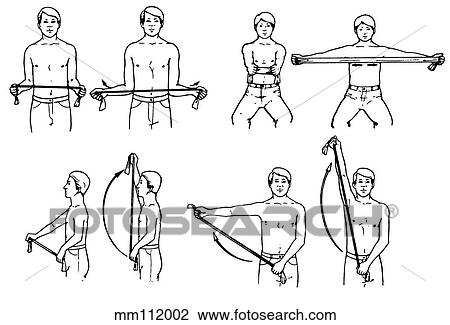 Exercise, upper back and shoulders View Large Illustration Drawing - Exercise, upper back and shoulders. Fotosearch