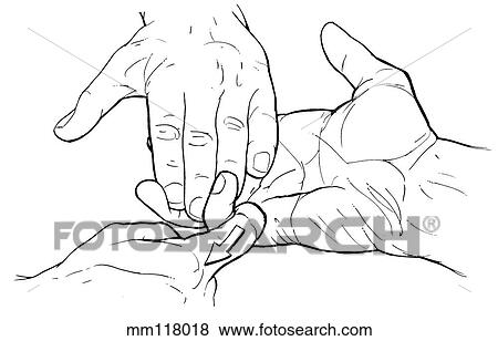 Stock Illustration - Flexor digiti minimi. Fotosearch
