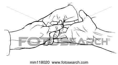Clipart - Flexor digitorum superficialis. Fotosearch