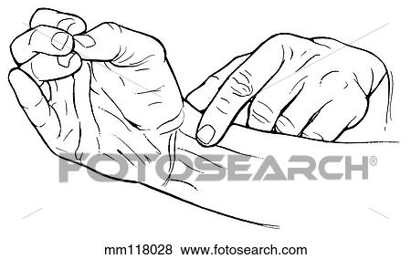 Stock Illustration - Palmaris longus tendon palpation. Fotosearch