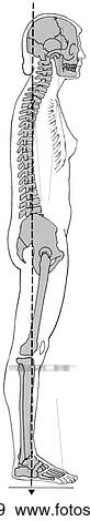 Posture, flat-back View Large Illustration Stock Illustration - Posture, flat-back. Fotosearch