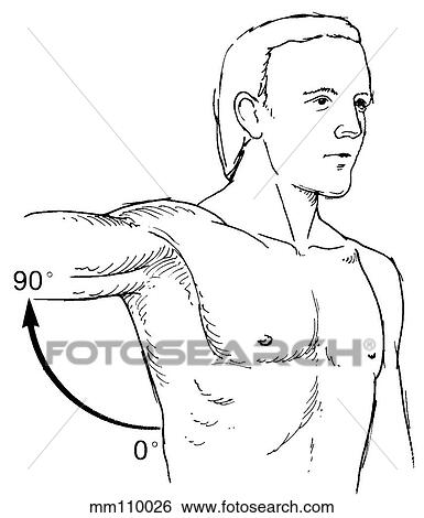 Stock Illustration - Shoulder, abduction external rotation. Fotosearch