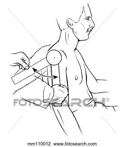 Shoulder extension View Large Illustration Drawing - Shoulder extension. Fotosearch