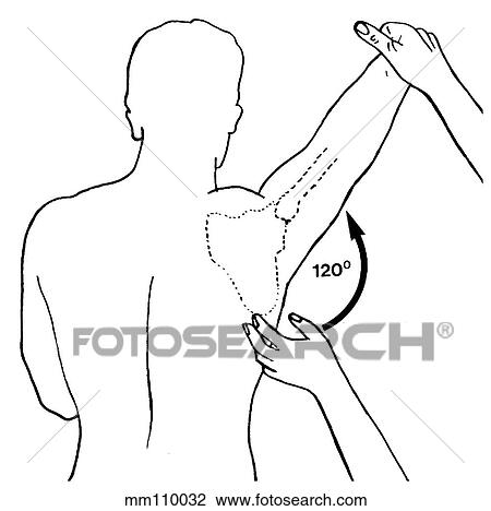 Drawing - Shoulder, range of abduction. Fotosearch