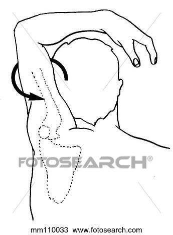Drawing - Shoulder, range of abduction. Fotosearch