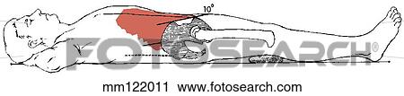 Sit-up, curled-trunk View Large Illustration Clip Art - Sit-up, curled-trunk. Fotosearch