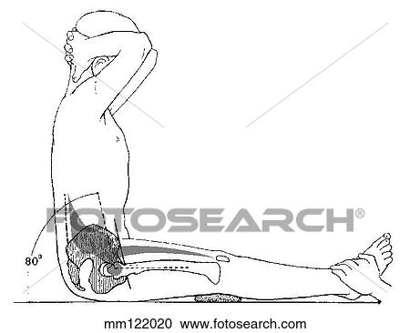 Sit-up, curled-trunk View Large Illustration Clipart - Sit-up, curled-trunk. Fotosearch