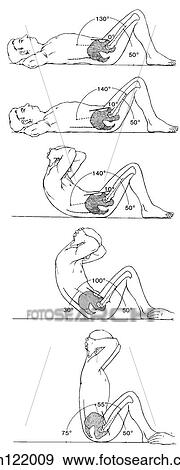Sit-up, curled-trunk View Large Illustration Stock Illustration - Sit-up, curled-trunk. Fotosearch