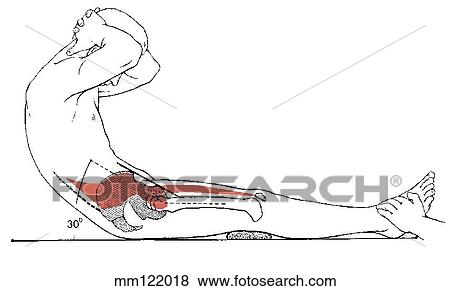 Sit-up, curled-trunk View Large Illustration Stock Illustration - Sit-up, curled-trunk. Fotosearch