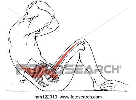 Stock Illustration - Sit-up, curled-trunk. Fotosearch