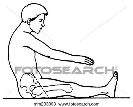 Back flexion View Large Illustration Drawing - Back flexion. Fotosearch