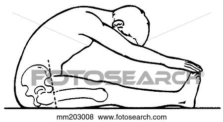 Back flexion, normal View Large Illustration Stock Illustration - Back flexion, normal. Fotosearch