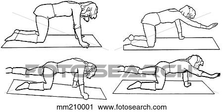 Exercise, bird dog View Large Illustration Clip Art - Exercise, bird dog. Fotosearch