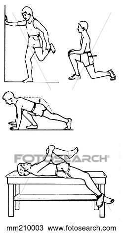Drawing - Exercise, hip flexor. Fotosearch