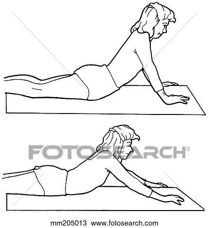 Drawing - Exercise, prone press up. Fotosearch