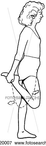 Exercise, standing quadriceps stretch View Large Illustration Stock Illustration - Exercise, standing quadriceps stretch. Fotosearch