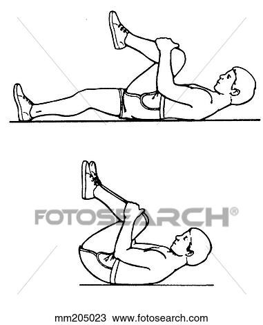 Exercises, forward bending View Large Illustration Drawing - Exercises, forward bending. Fotosearch