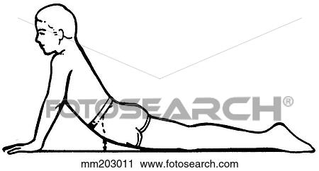 Flexibility, backward bending View Large Illustration Clip Art - Flexibility, backward bending. Fotosearch