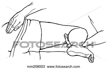 Gluteus maximus palpation View Large Illustration Drawing - Gluteus maximus palpation. Fotosearch