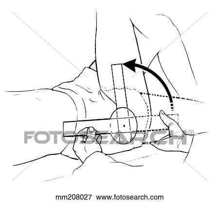 Hip flexion View Large Illustration Stock Illustration - Hip flexion. Fotosearch