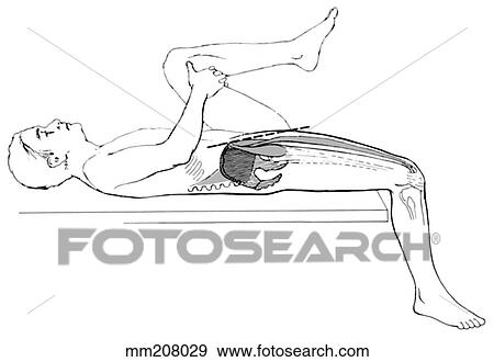Hip flexor length test View Large Illustration Stock Illustration - Hip flexor length test. Fotosearch