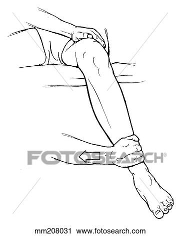 Hip internal rotation strength testing View Large Illustration Clip Art - Hip internal rotation strength testing. Fotosearch