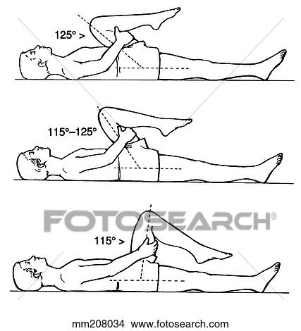 Hip joint flexion flexibility View Large Illustration Stock Illustration - Hip joint flexion flexibility. Fotosearch
