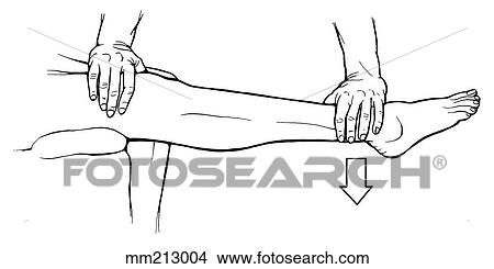 Knee extension strength testing View Large Illustration Stock Illustration - Knee extension strength testing. Fotosearch