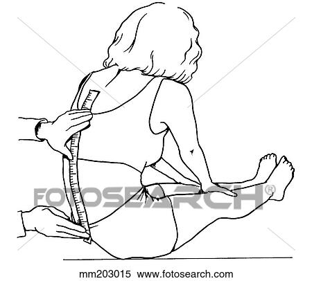 Measurement of forward bending View Large Illustration Stock Illustration - Measurement of forward bending. Fotosearch