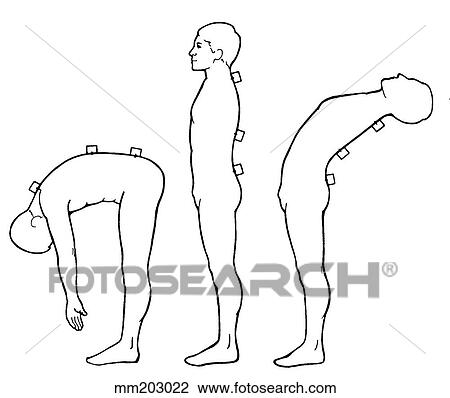 Range of motion View Large Illustration Drawing - Range of motion. Fotosearch