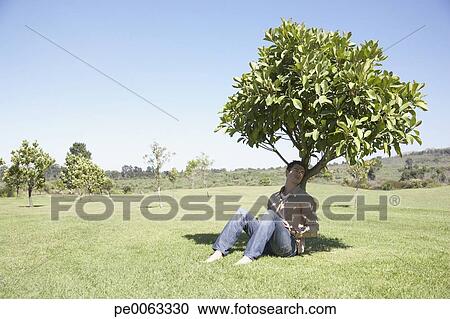 Stock Photography of Man sitting in shade under tree pe0063330 - Search ...